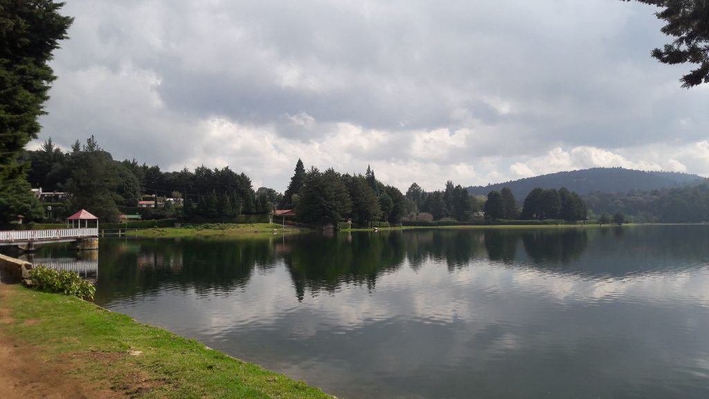 Paisaje arbolado alrededor de la Presa Brockman